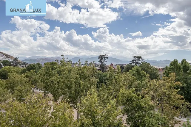 Pisazo en paseo del salón - Granada — 4