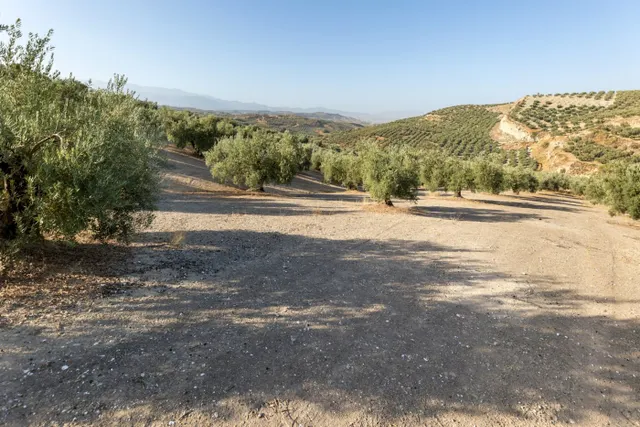 Terreno rural en venta - Alfacar — 22