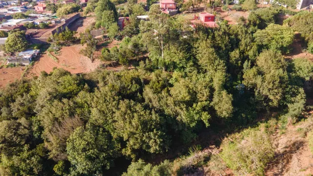 Chalet de una sola planta con solar en La Esperanza — 41