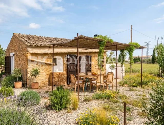 FINCA RÚSTICA EN MAJOR (BINISSALEM) - foto 4