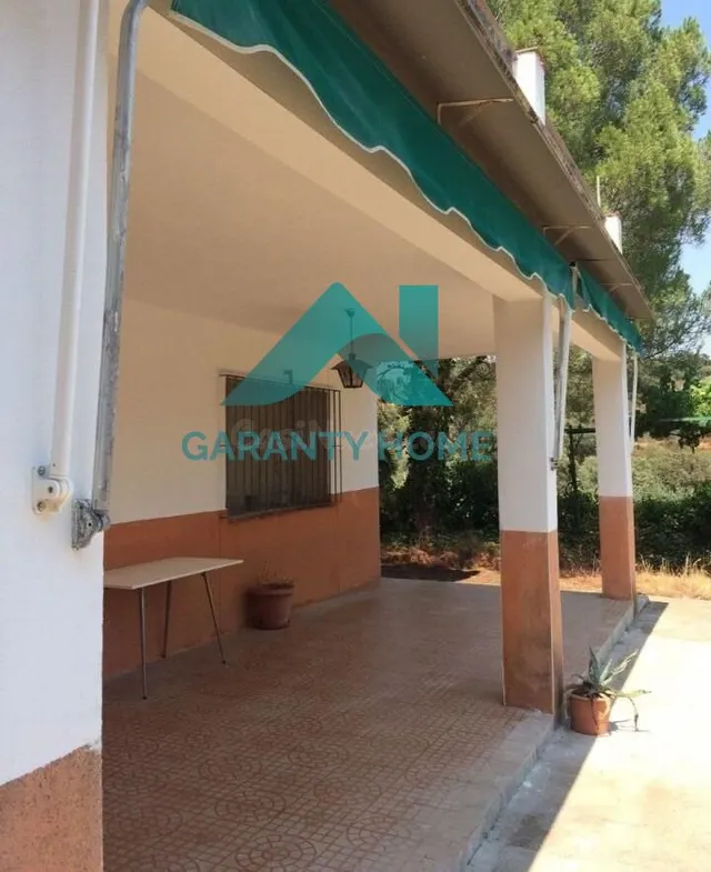 SE VENDE FINCA RUSTICA ZONA DE LA MONTAÑA - foto 2