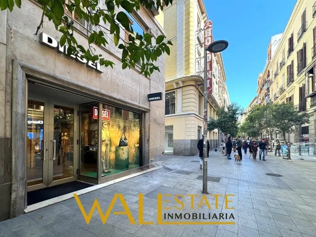 MARAVILLOSO PISO EN MALASAÑA — 18