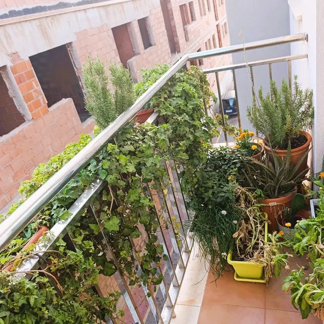 Apartamento 2 habitaciones 120m² en venta - Alumbres-Escombr - foto 2