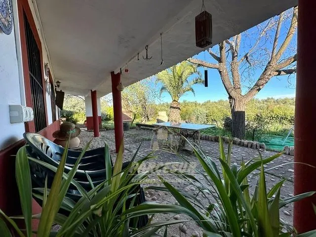 ADAMUZ - FINCA AGRICOLA DE 6 Has. CON CASA. — 26