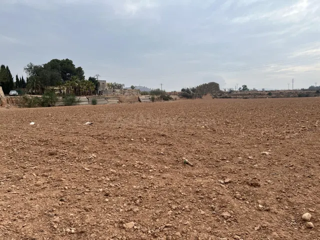 CAMPO PARA CULTIVO — 5