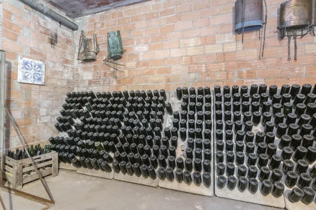 PROYECTO DE FINCA RÚSTICA — 16
