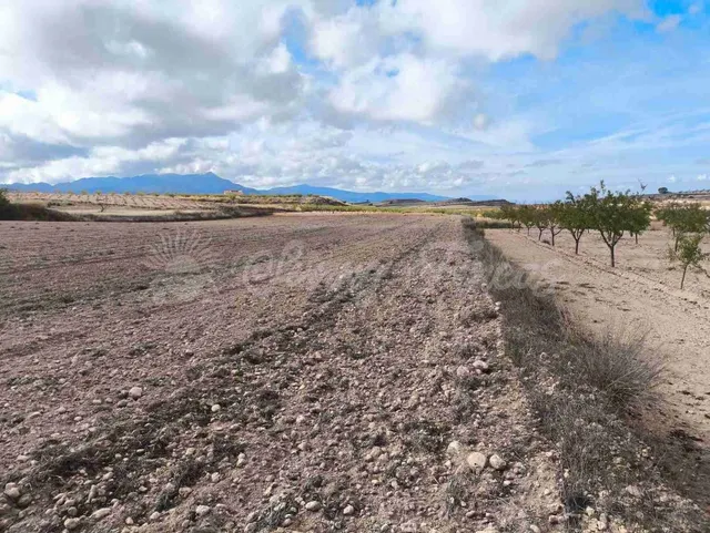 Suelo rústico en Venta en Jumilla Murcia — 6
