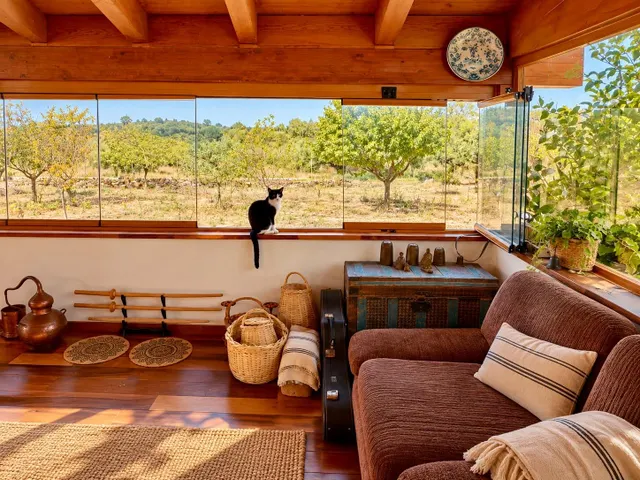 Finca de 11.000 m2 con 2 edificaciones y gran sala polivalente en Jérica — 18