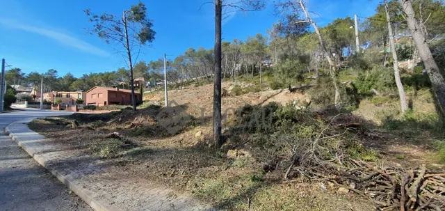 Terreno llano en Olivella, a punto para construir! — 2