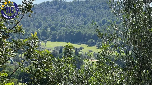 HAZ REALIDAD TU SUEÑO Exclusiva Parcela con Vistas al Campo  - foto 3