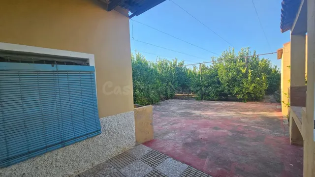 Finca rústica en producción en Librilla - foto 4