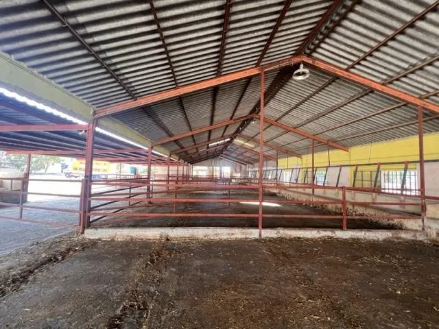 SE VENDE EXPLOATACIÓN GANADERA¡ — 6