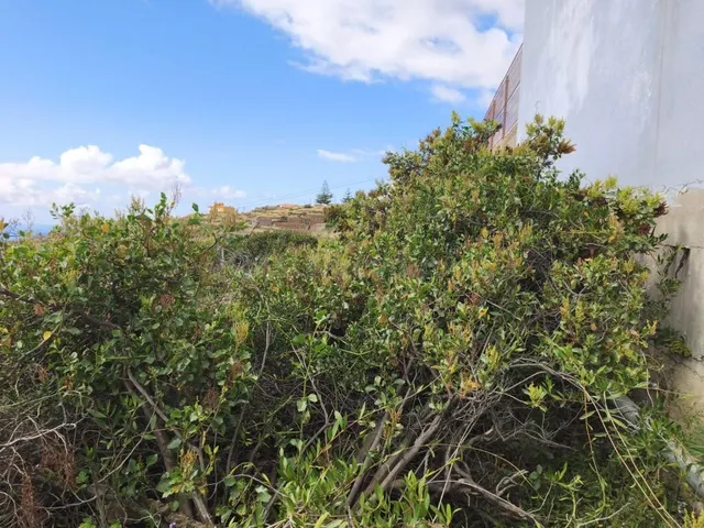 TERRENO URBANO DE 222M2 EN BARRANCO HONDO, CANDELARIA, ISLAS - foto 3