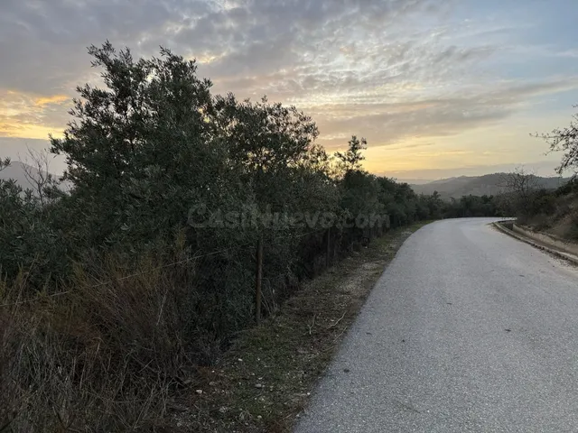 Terreno rural en venta - Murchas - foto 2