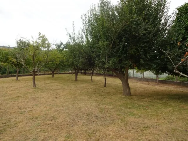 SE VENDE CASA SEÑORIAL PAREADA DE PIEDRA REFORMADA Y EN PERFECTO ESTADO EN PADRON — 46