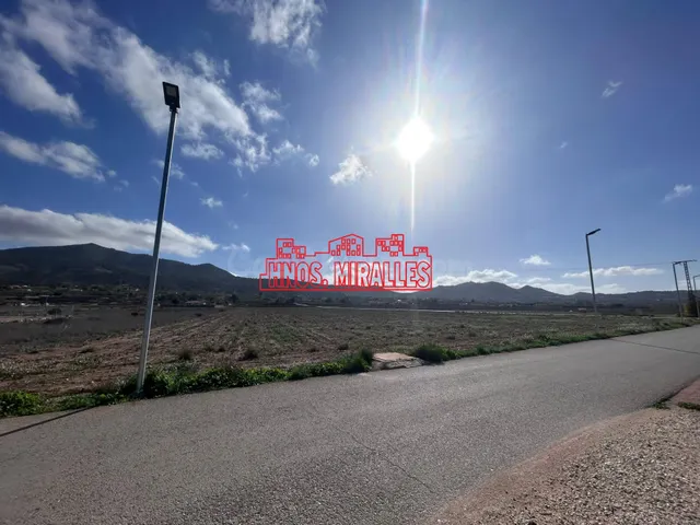 ¡¡ ESTUPENDA PARCELA 24.000m2 HONDÓN FRAILES!! — 4
