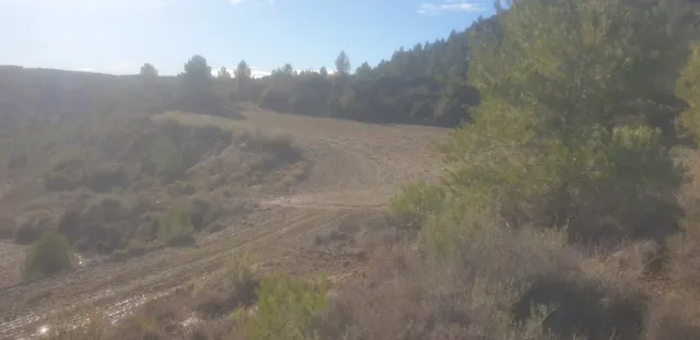 TERRENO OPTIMO PARA CAMPING — 10