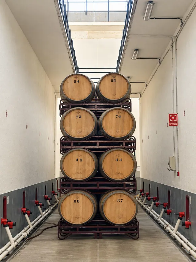 BODEGA DE PRODUCCIÓN D.O. PENEDÈS - foto 4