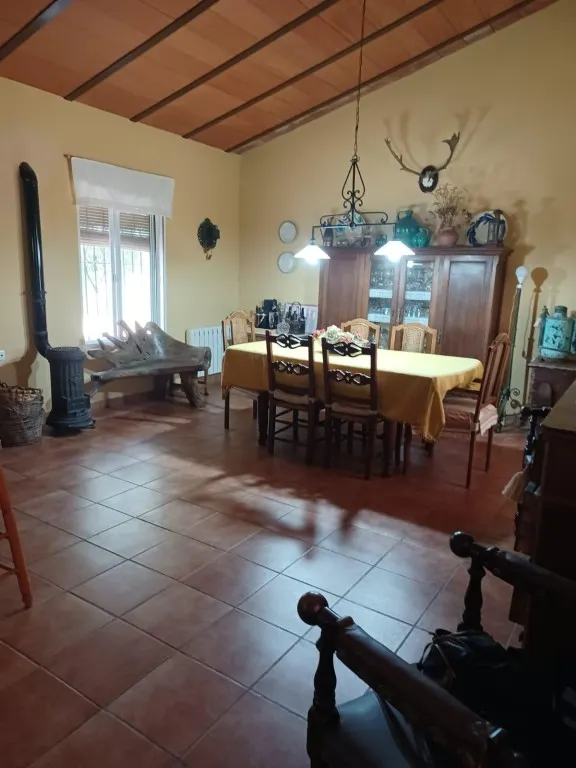 Magnífica casa de campo con piscina y vistas a Moguer, en finca de casi 15.000 m2 — 7