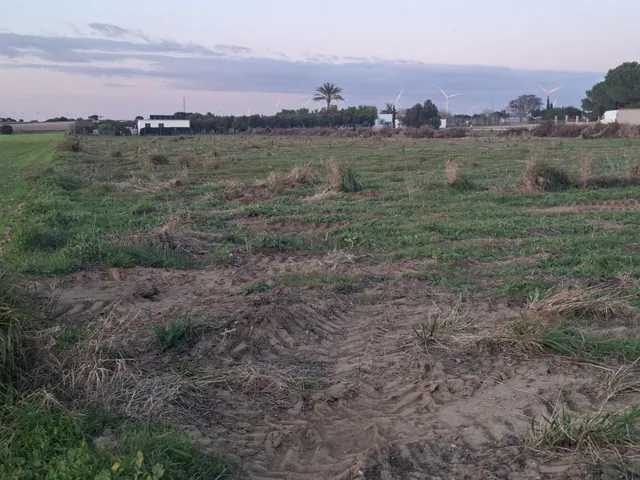 Parcela de 12.000 m2 en marquesado — 2