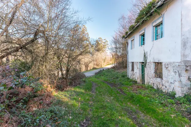 Oportunidad real: casa con parcela para rehabilitar en Tineo — 8
