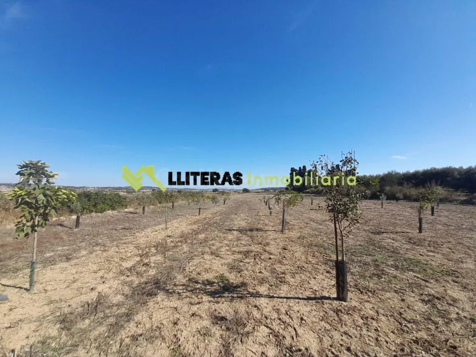 Finca rústica  en María de la Salut  con pozo-  Naturaleza, tranquilidad y vistas