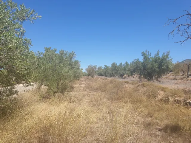 Rústico de ensueño en Biar, Comunidad Valenciana - foto 2
