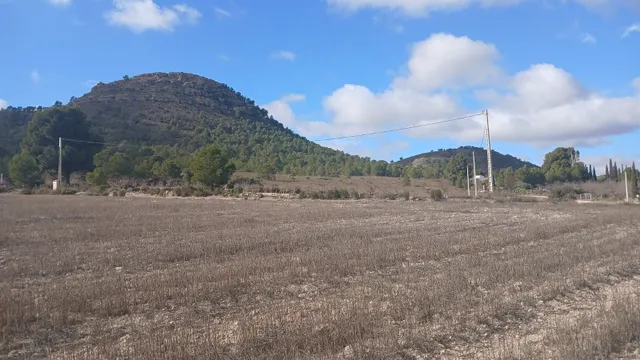 Parcela en venta - Yecla — 17