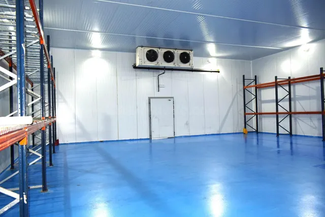 VENTA DE NAVE INDUSTRIAL CON CÁMARAS FRIGORÍFICAS - foto 3