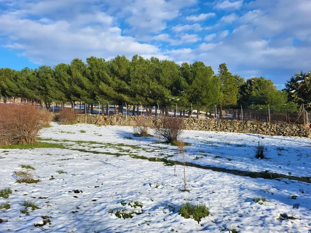 VENDEMOS PRECIOSA FINCA RÚSTICA A LOS PIES DE LA ATALAYA. — 3