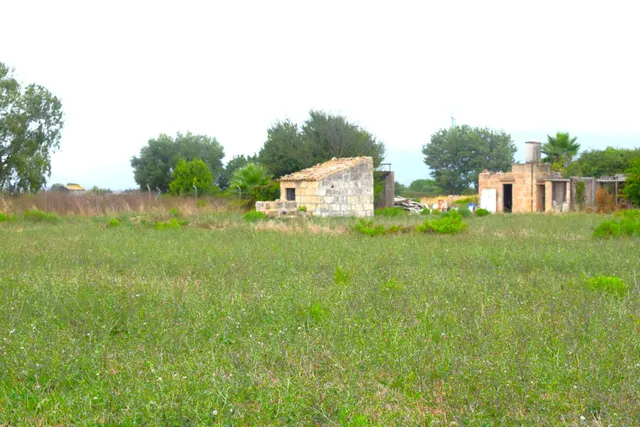 Finca rústica con caseta de herramientas en Muro - foto 4