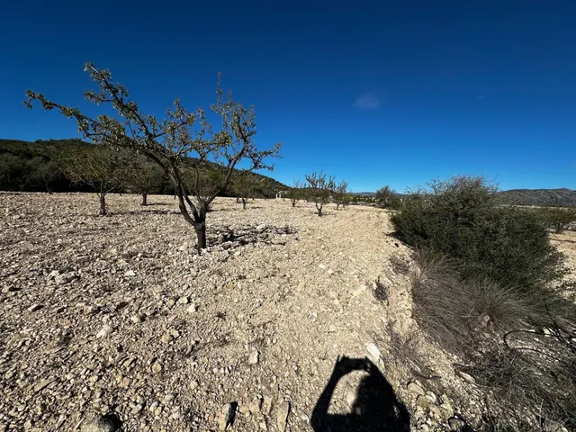 Terreno rural en venta - 03640 - foto 5