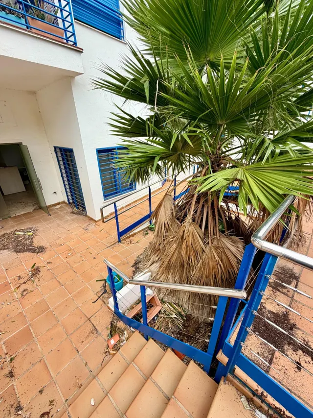 APARTAMENTO EN BENALMADENA COSTA (LOS PATOS) A 250 M DEL MAR - foto 2