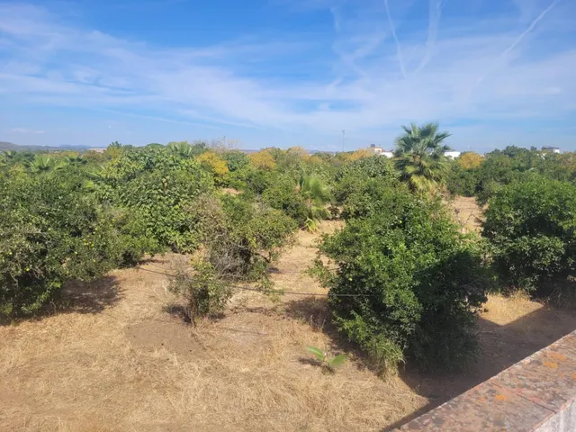 Casa 4 habitaciones 119m² en venta - Tocina — 26