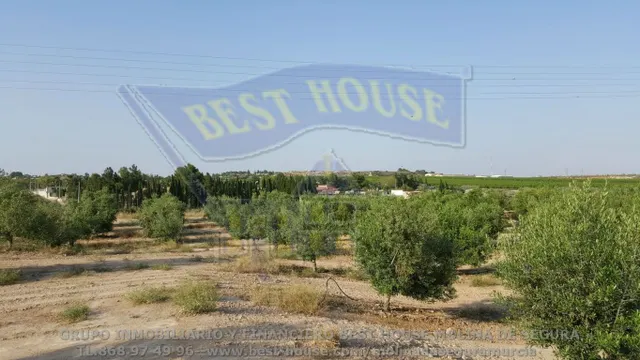 ++finca rustica en Las Torres de Cotillas++ 45.500 m. superficie parcela++ — 3