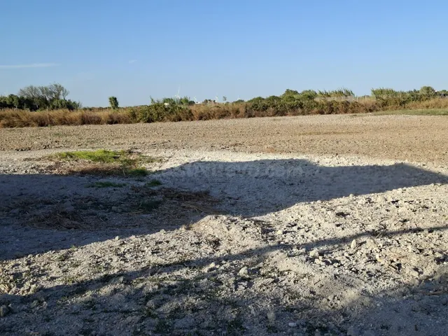 🌿 Finca rústica con refugio/casa en venta. Con pozo legaliza - foto 5