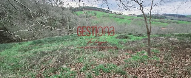 CABAÑA CON ARROYO,  PROYECTO Y CAMBIO DE USO EN LLANOS. PENAGOS — 36