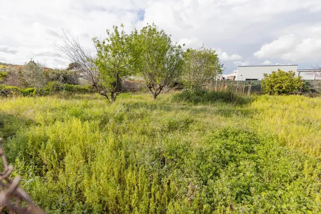 Terreno en Fons Somella para vivienda unifamiliar aislada - foto 5