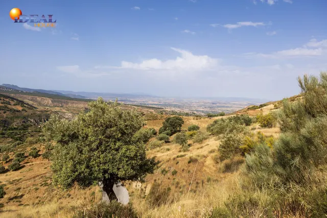 En Venta Maravilloso Paraje Natural, a medio camino entre Granada y Sierra Nevada, a veinte minutos en coche, desde cada una de ellas. — 3