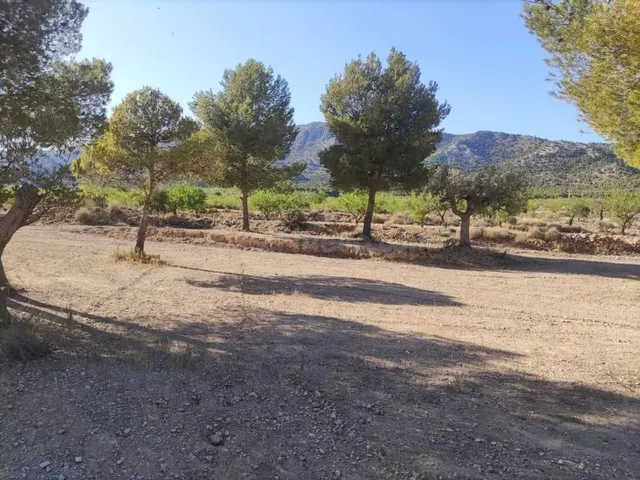 Terreno edificable en Pinoso (Alicante) para proyecto rural - foto 2