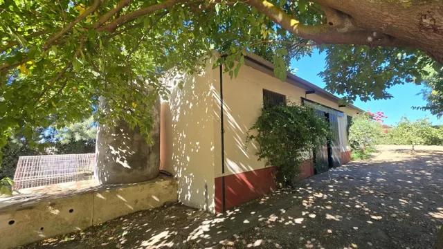 Magnífica casa de campo con piscina y vistas a Moguer, en finca de casi 15.000 m2 — 39