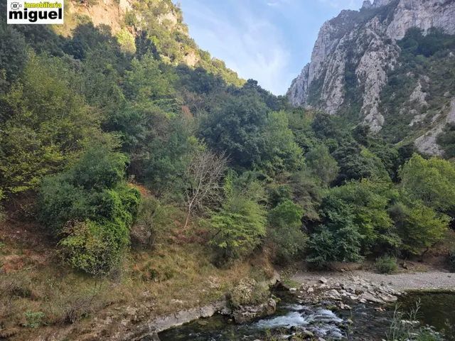 Oportunidad de Inversión en Peñarrubia - Picos de Europa — 34
