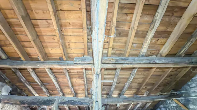 Caserío adosado con 16.277 m2 de terreno a un paso de Donostia — 26
