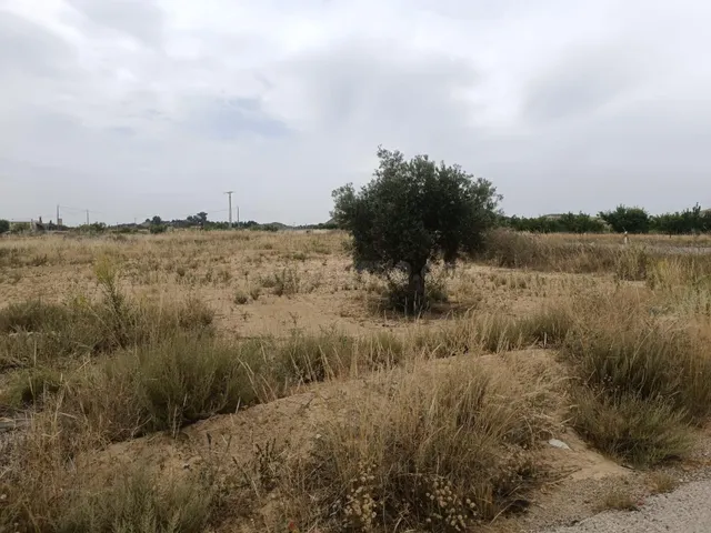 Terreno rural en venta - Sangonera la Seca - foto 2