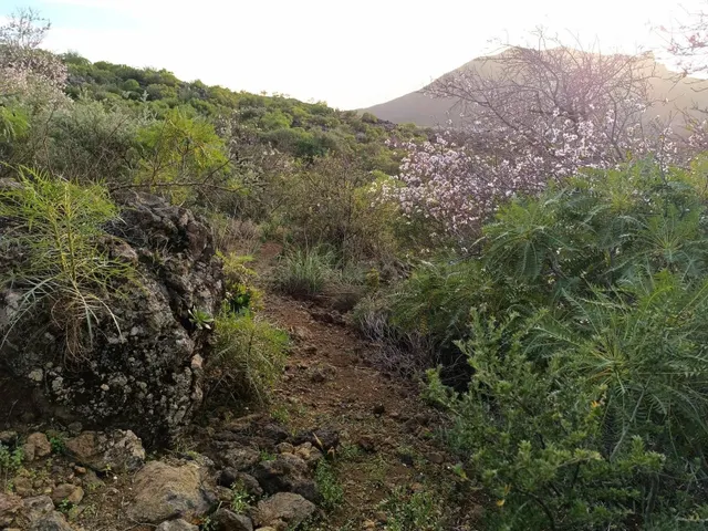 ¡Oportunidad única! Terreno rústico de 2175m2 en venta en Va - foto 4
