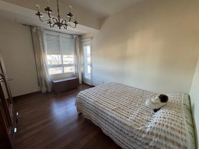 Se vende piso amplio en zona temple — 12