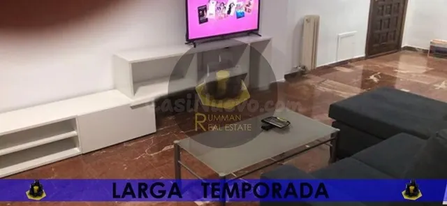 LT/ Apartamento amueblado con UN dormitorio en zona Gran Cap