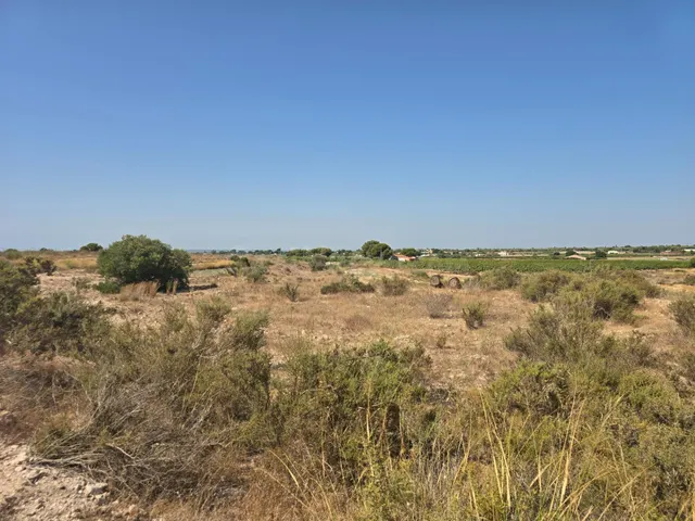 Parcela rustica en Valverde Alto con agua de riego ideal par - foto 4
