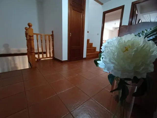 CASA ADOSADA EN VALDÁLIGA (VALLINES) — 18