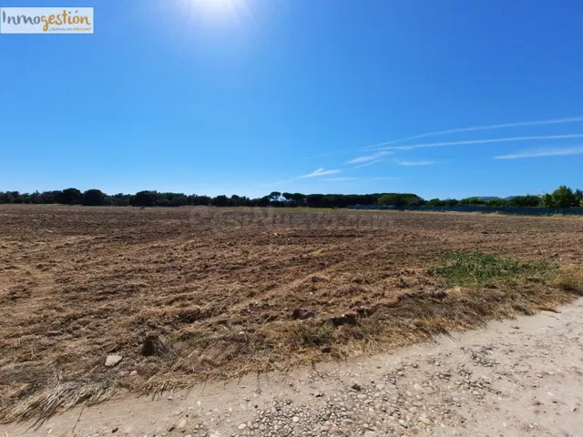 TERRENO RÚSTICO EN VENTA EN TUDELA DE DUERO (VALLADOLID) - foto 4